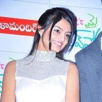 Nikitha Narayan - Its My Love Story Premier Show Pictures | Picture 121100